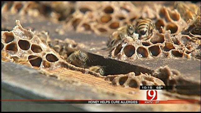 Oklahoma's Locally Grown Honey May Cure Spring Allergies