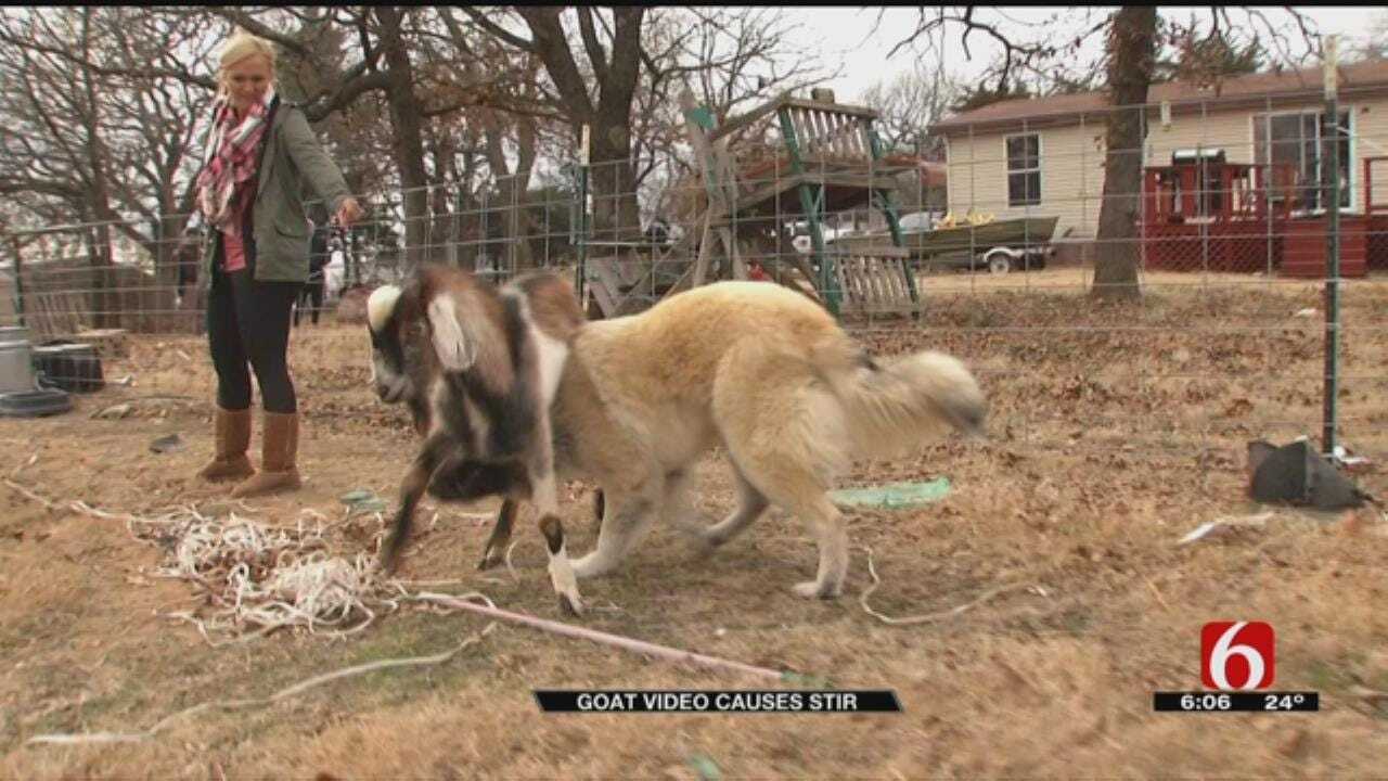 TCSO: Viral Video Of Alleged Animal Abuse Isn’t What It Seems