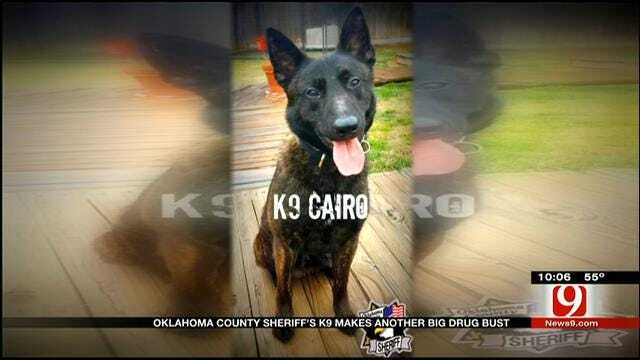 OCPD's K9 Cairo Sniffs Out Another Big Drug Bust