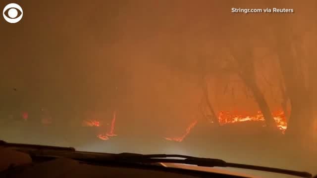 Watch: Car Drives Down California Road Surrounded By Wildfire