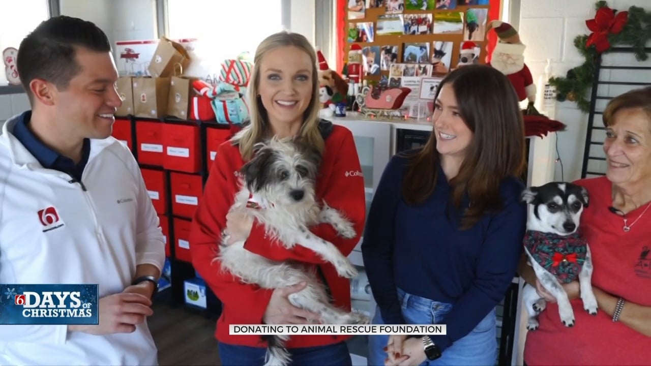 6 Days Of Christmas: Animal Rescue Foundation
