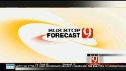 Jed's Bus Stop Forecast For Tuesday, February 21