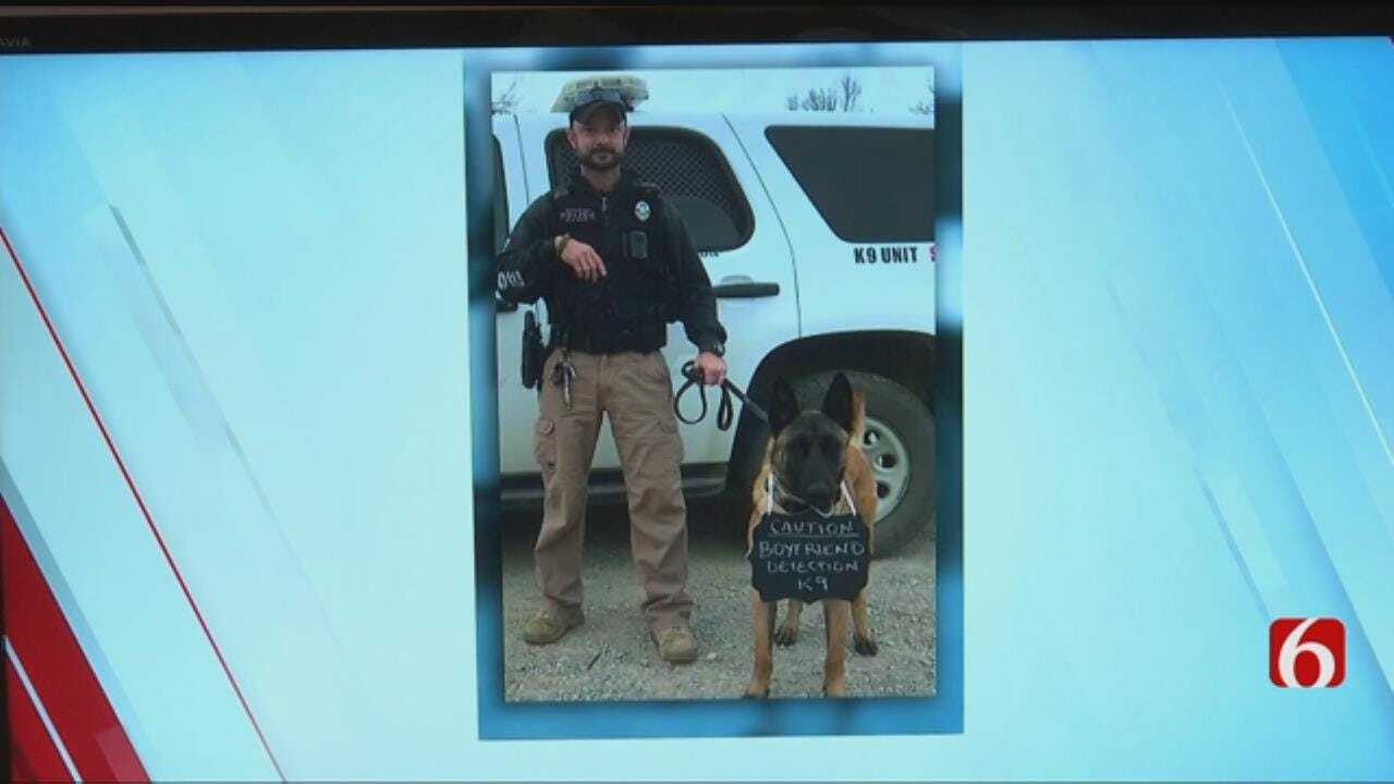 K-9 Officer Trained In "Boyfriend Detection" For Valentines Day