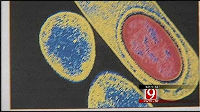 Local Clinic Developing Vaccine for Deadly Bacteria