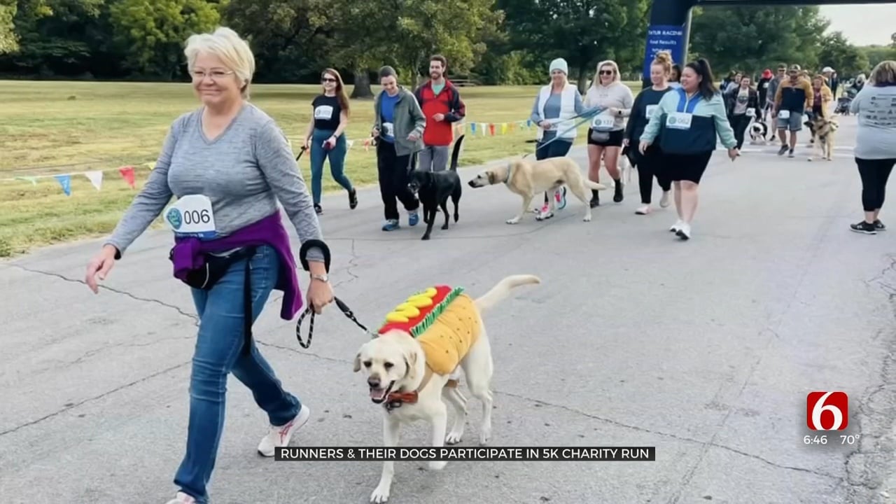 Runners & Their Dogs Participate In 5K Charity Run