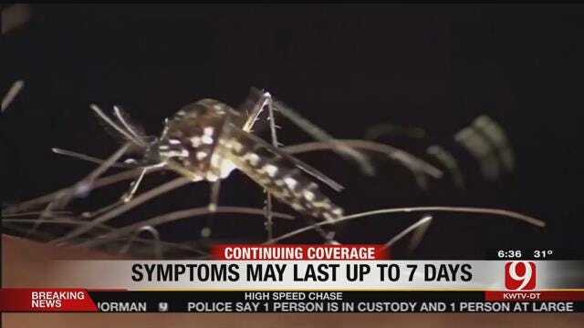 What Does The Zika Virus Outbreak Mean For Oklahoma?