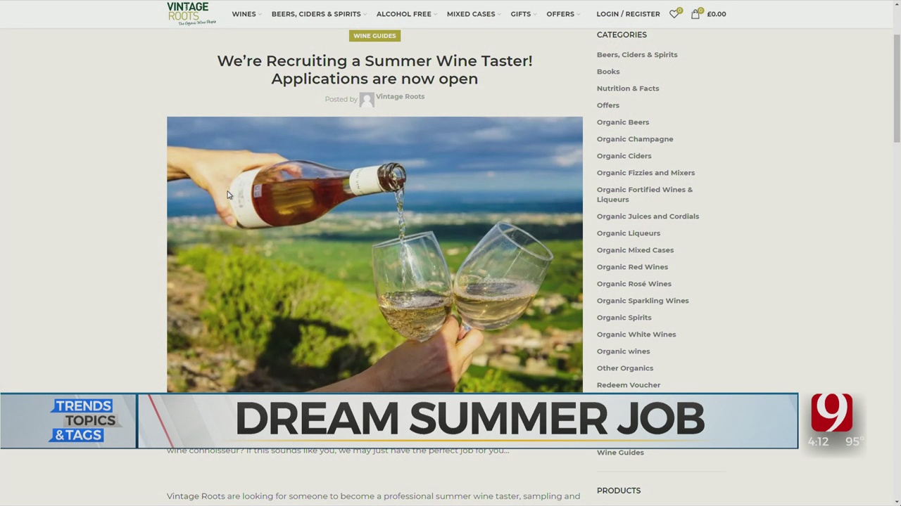 Trends, Topics & Tags: Dream Summer Job?