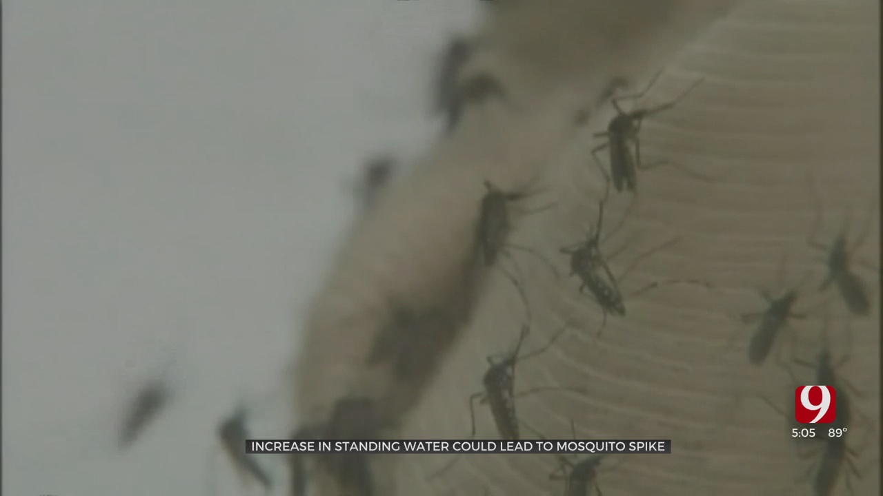 Recent Rainy Pattern Could Lead To Mosquito Spike In Oklahoma, Health Officials Say