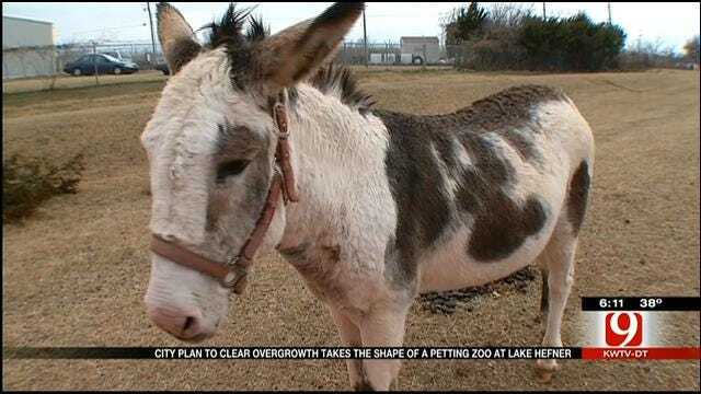 Red Dirt Diaries: Pin The Name On The Donkey