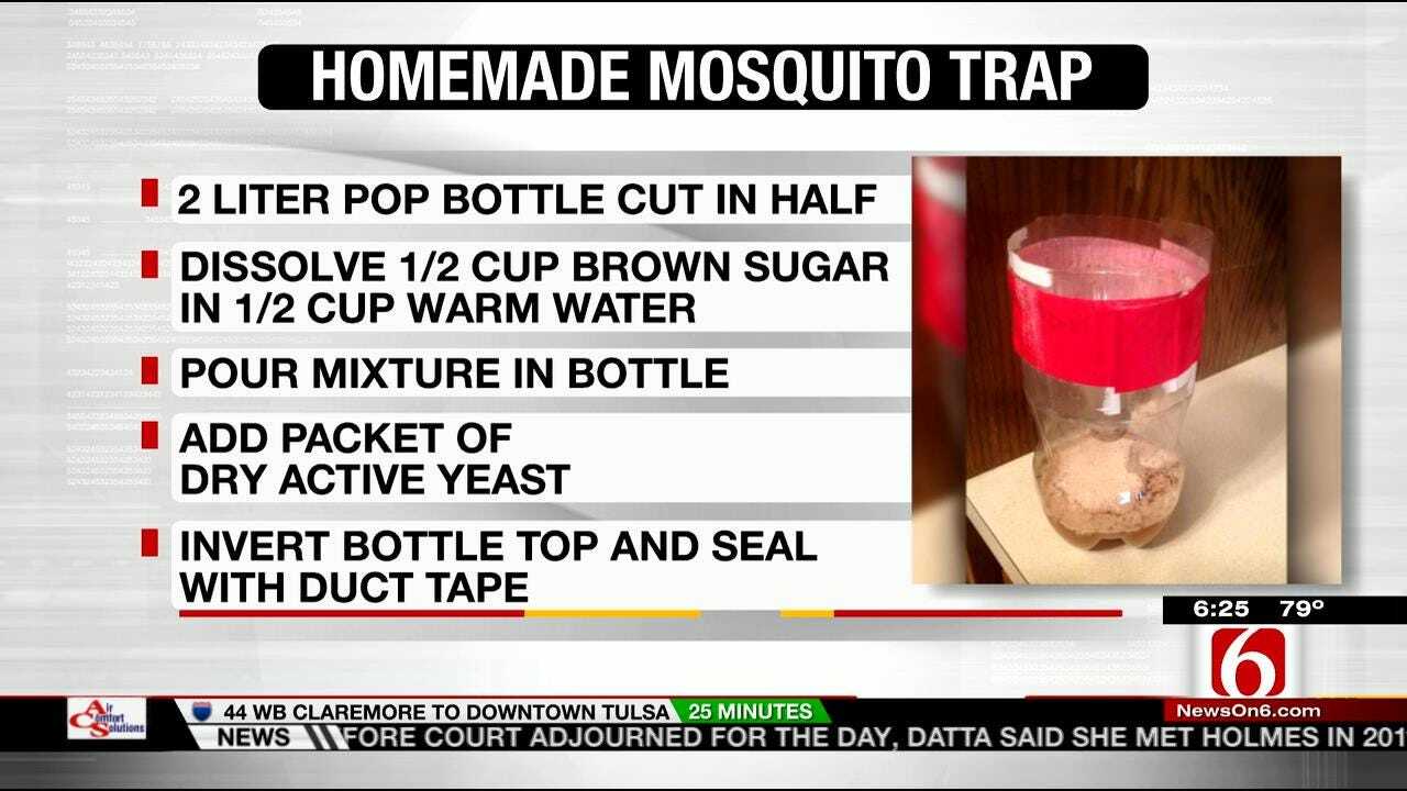 LeAnne Taylor Shares Her Mosquito Trap Recipe On 6 In The Morning