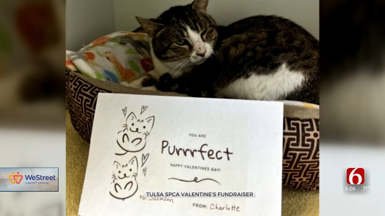 Tulsa SPCA Offers Valentines, Anti-Valentines As Fundraiser
