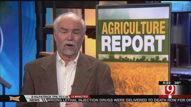 Agriculture Report: Current Crop Insurance Works Well