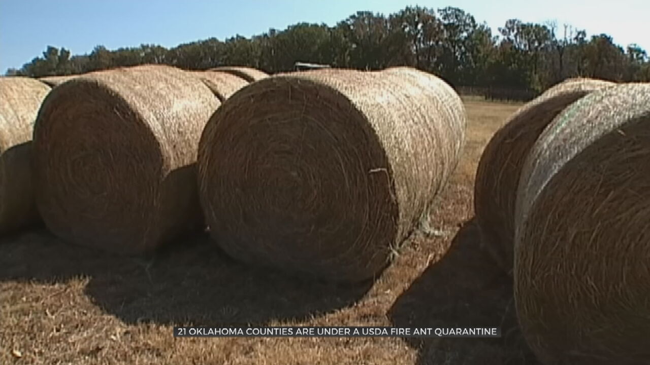 21 Oklahoma Counties Under Hay Quarantine Due to Imported Fire Ants