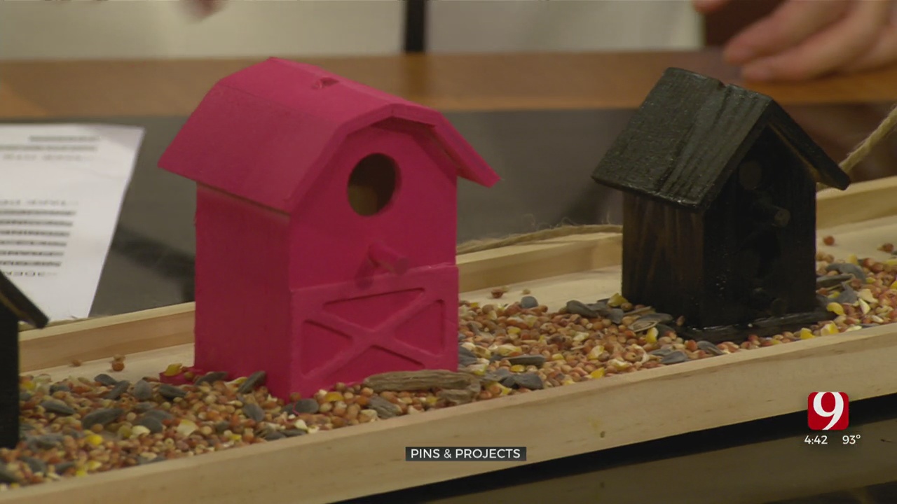 Pins & Projects: DIY Bird Feeders
