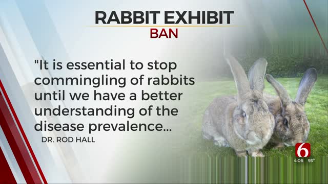 All Rabbit Exhibitions Banned In Oklahoma For 90 Days, OSU Vet Says