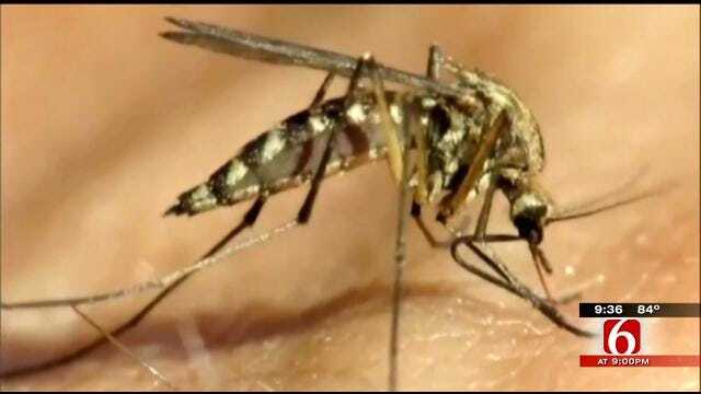OK Talk: Are You Concerned About West Nile Virus?