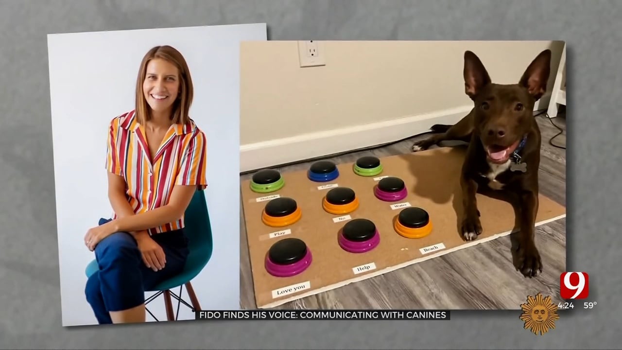 Medical Minute: Can Dogs Talk?