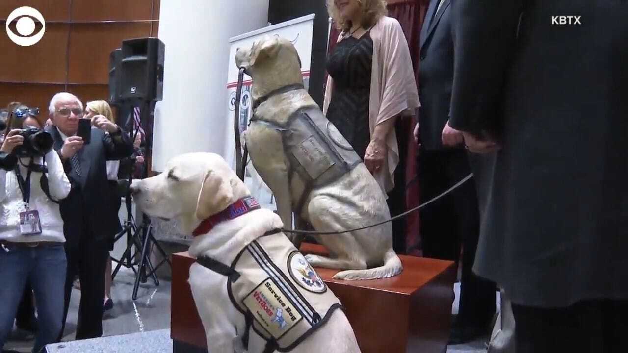 WATCH: A Statue Of Sully, George H.W. Bush's Service Dog, Unveiled