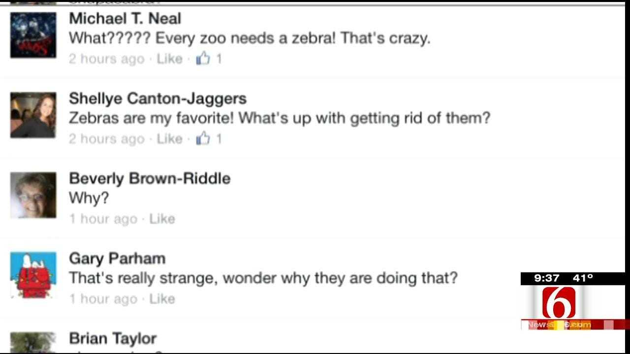 OK Talk: Does Every Zoo Need A Zebra?