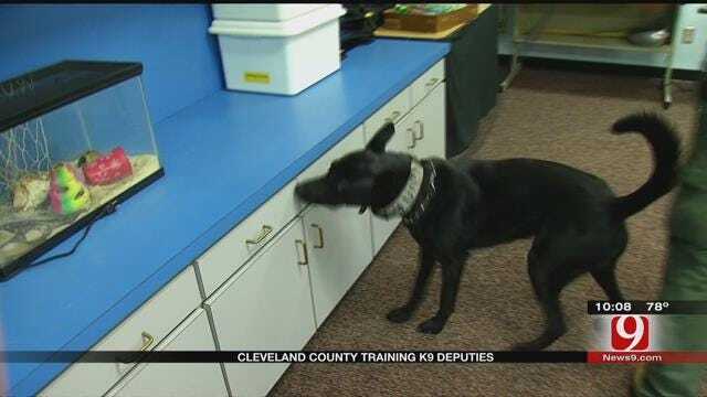 Cleveland County Deputies Train With K-9s