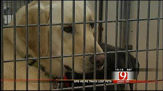 GPS Devices May Help Track Down Lost Oklahoma Pets