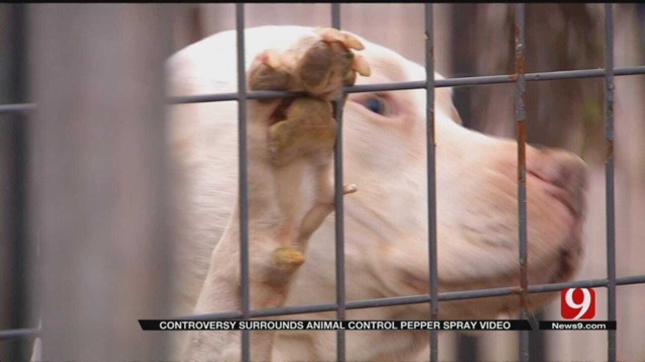 El Reno Dog Owners Accused Animal Control Of Harming Dogs