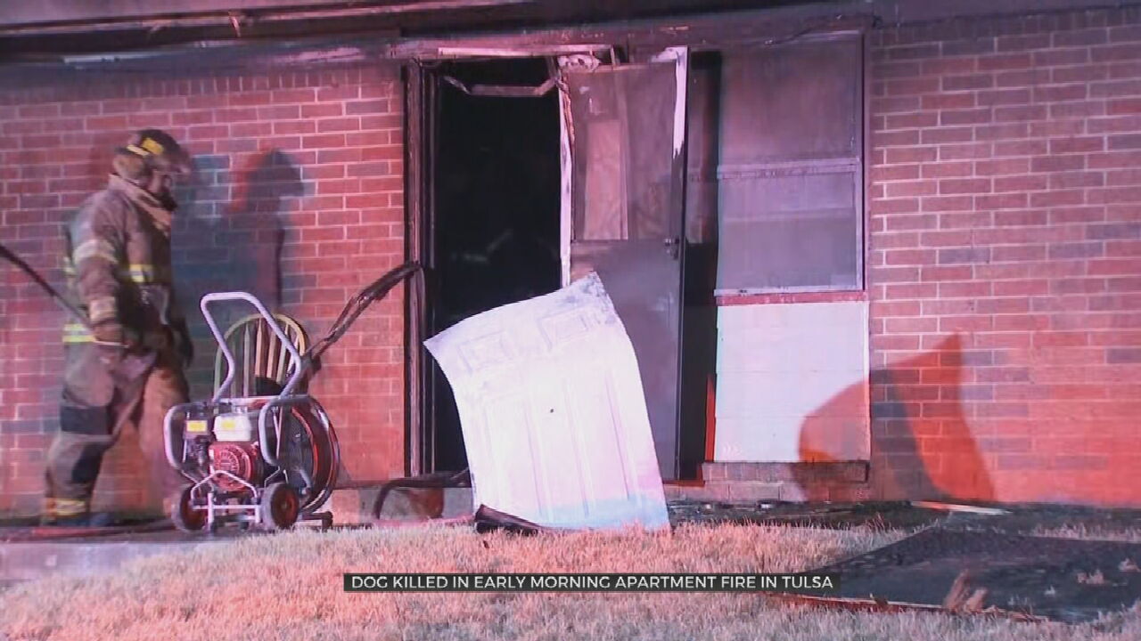 Dog Killed, 3 People Displaced After Early-Morning Apartment Fire
