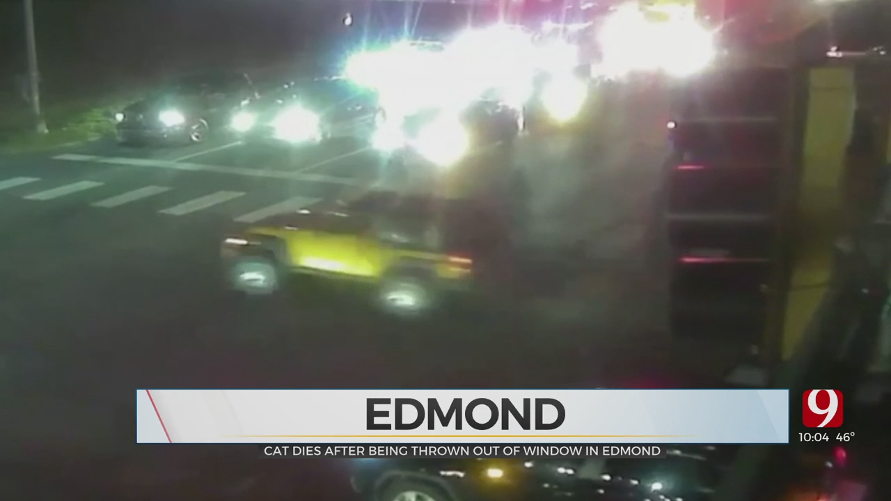 Cat Dies After Being Thrown From Car Window At Edmond Intersection