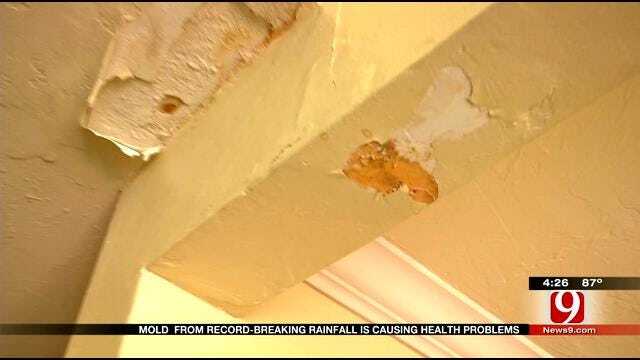 Medical Minute: Recent Rains And Mold