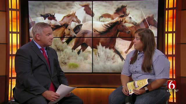Two-Day Adoption Event In Tahlequah For Wild Horses, Burros 