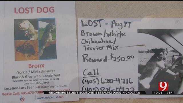 Missing Dogs Spark Fear in Choctaw