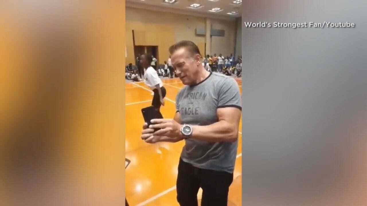 CAUGHT ON CAMERA: Arnold Schwarzenegger Drop-Kicked By Stranger