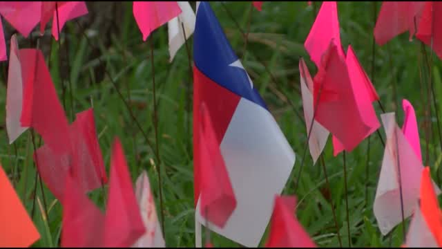Texas Man Placed Flags On Lawn To Honor Those Lost To COVID-19