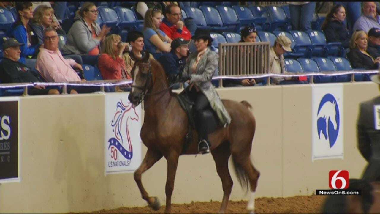 Tulsa Hosts 50th Annual Arabian National Horse Show