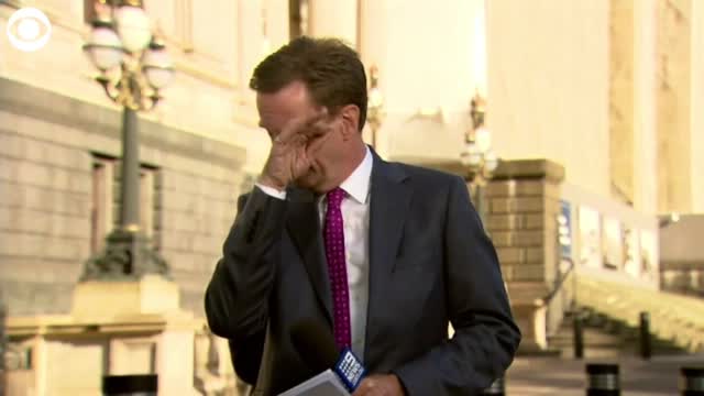 WATCH: Bird Flies Into Reporter's Face During Live Report