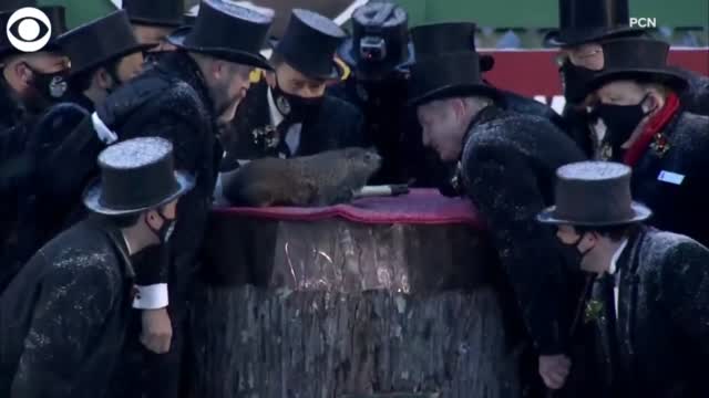 WATCH: Punxsutawney Phil Makes His Annual Appearance