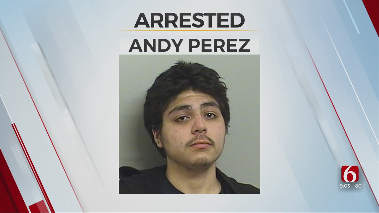 Police Arrest Man Accused Of Severely Beating His Mother