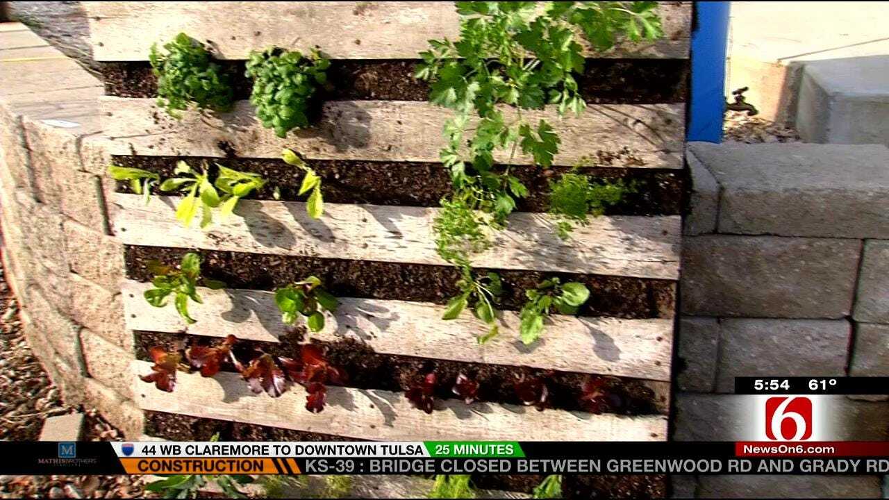 Tulsa Business Teaching Local Gardeners About Hydroponics