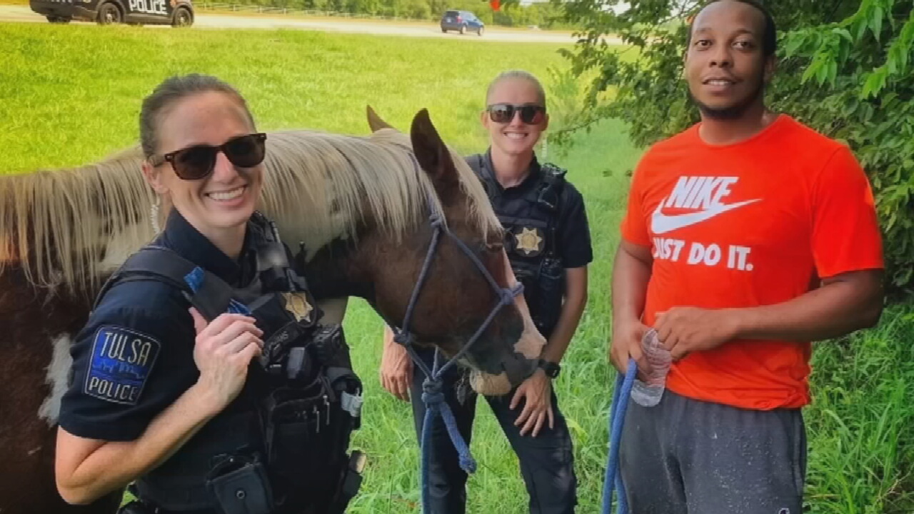 Tulsa Police Rein In Horse Found Wandering Near Highway 75