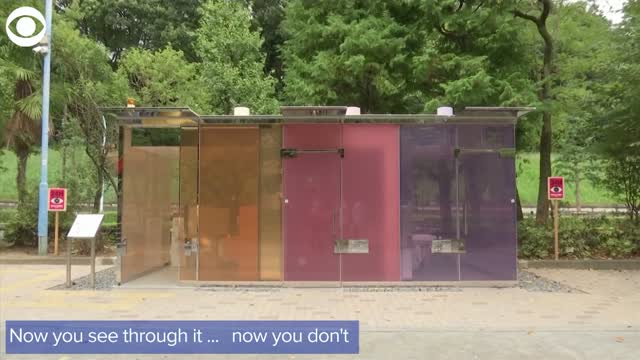 Would You Use It? Japan Has See-Through Public Restrooms