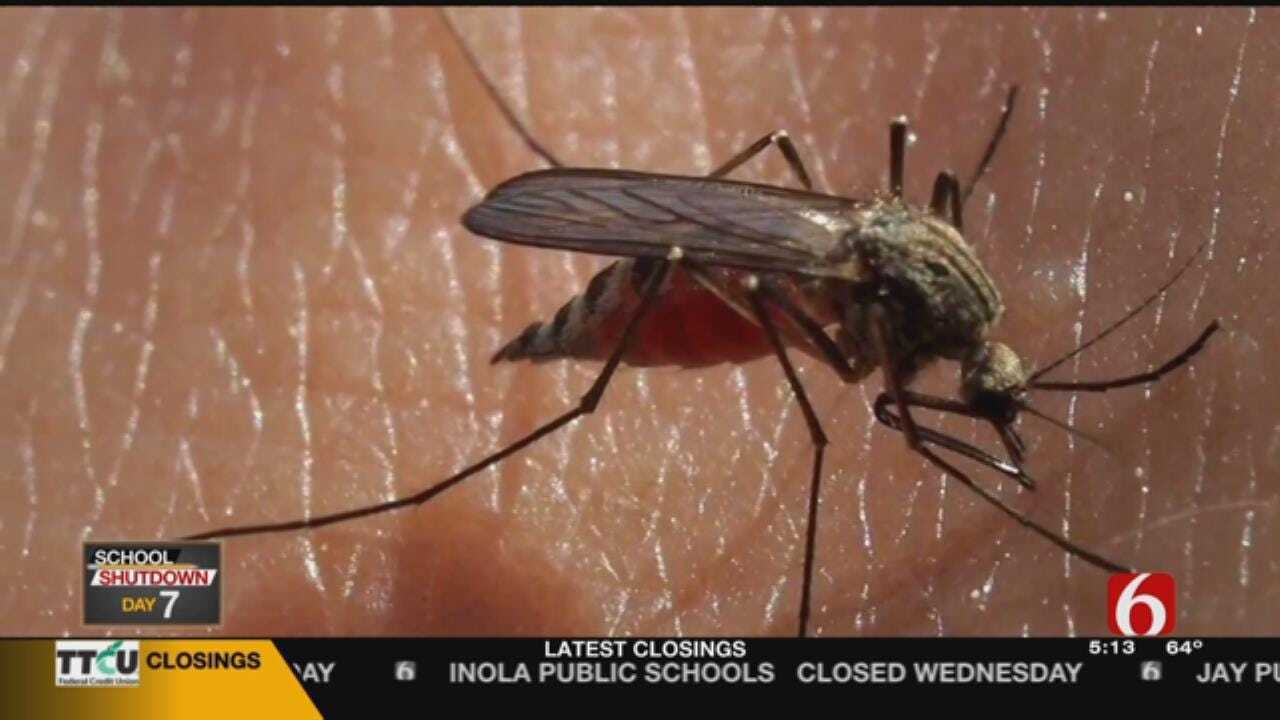Tulsa Health Department Working To Protect The Community From Mosquitoes