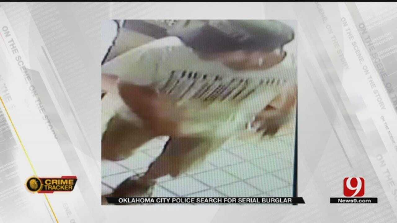 Serial Thief Suspected In 8 Metro Burglaries