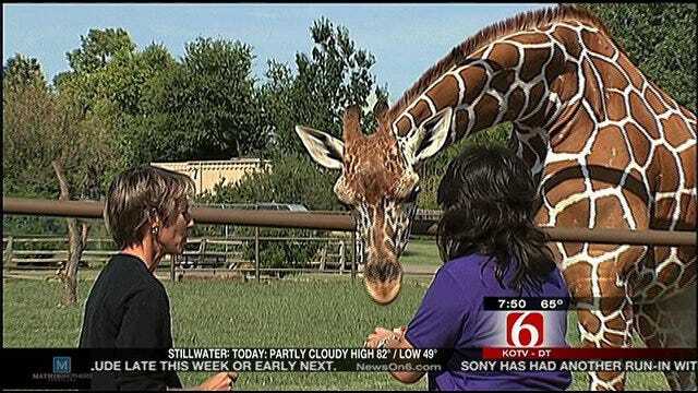 Wild Wednesday: Tulsa Zoo's Newest Residents