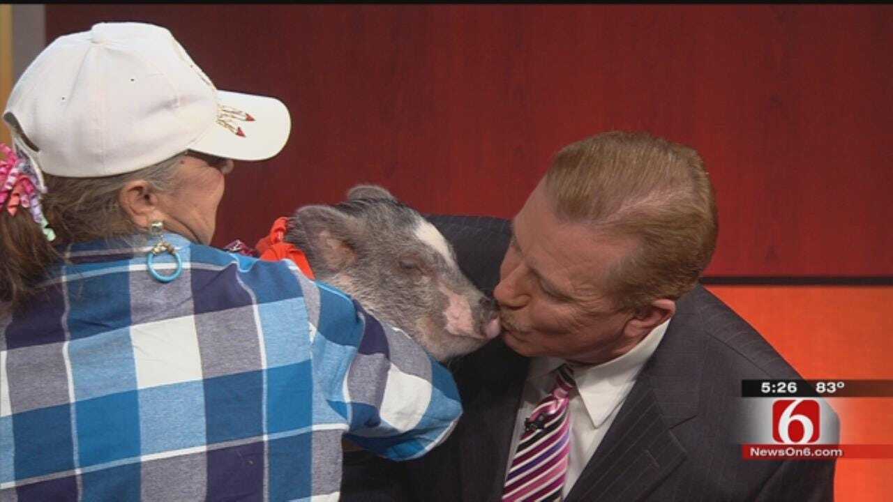 WEB EXTRA: Travis Meyer Puckers Up, Kisses Wilbur The Pig