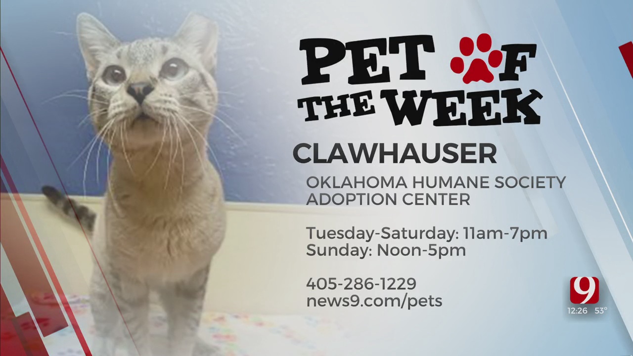 Pet Of The Week: Clawhauser