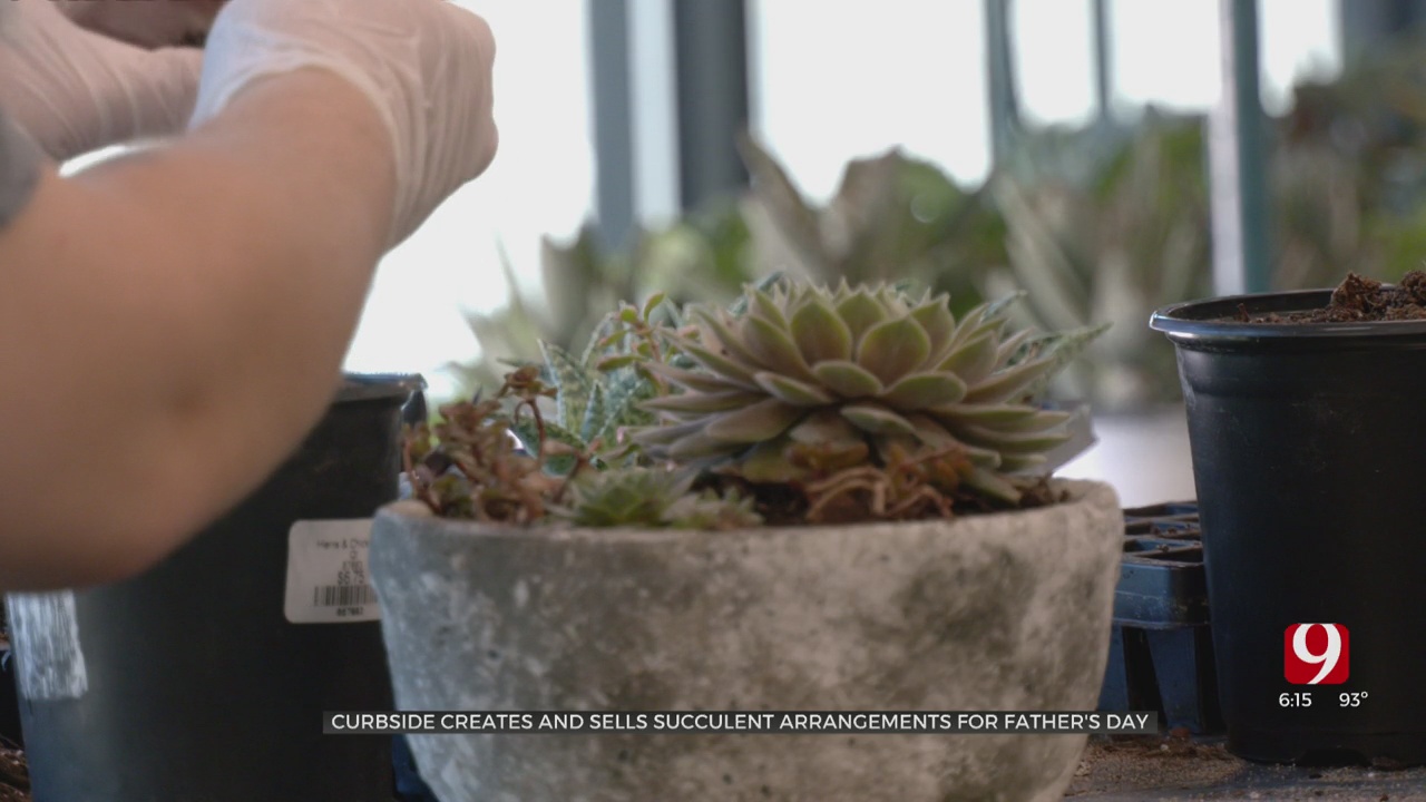Curbside To Sell Succulent Arrangements For Father's Day