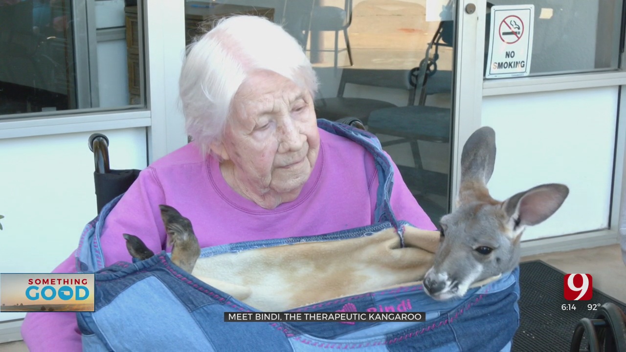 Therapeutic Kangaroo Helping Residents At Fairview Nursing Home