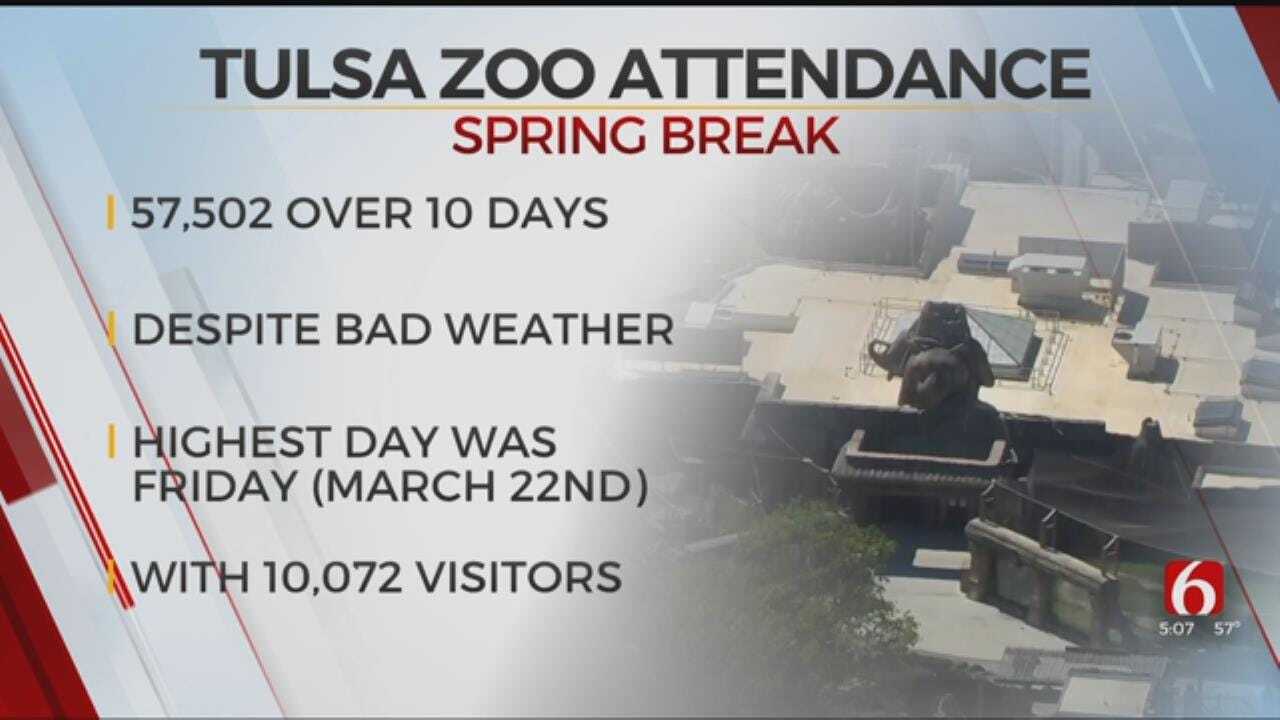 Spring Break Brings Over 50,000 Visitors, Tulsa Zoo Says