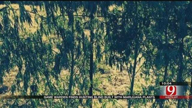 Three Men Charged After Game Warden Finds Hunting Blind Made Out Of Illegal Plants
