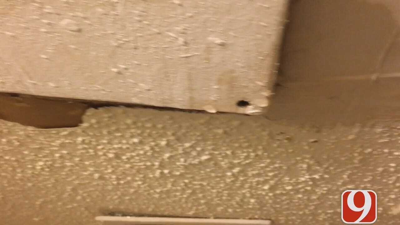 WEB EXTRA: Mold, Flooding Force OKC Family Out Of Apartment